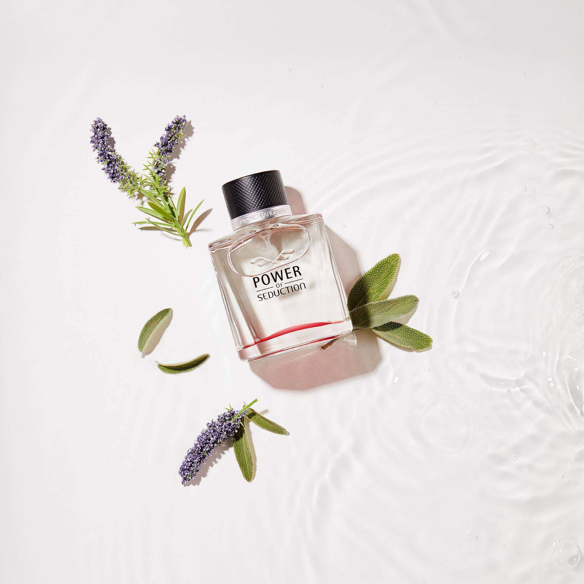 ANTONIO BANDERAS Power Of Seduction Edt100 Ml - Image 3